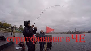 Рыбалка на реке ягорба в череповце