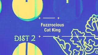 Video thumbnail for Fuzzrocious Cat King - L'overdrive qui se fait fuzz by Julien Bitoun