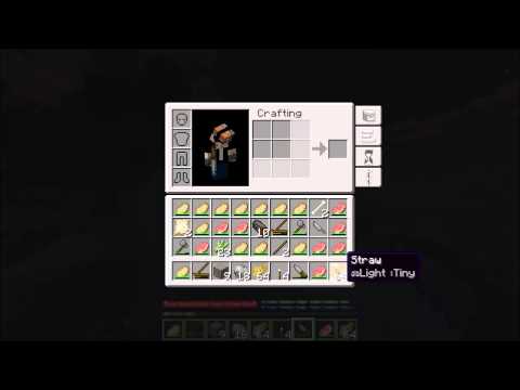 Terrafirmacraft Episode 2 Food at last!!