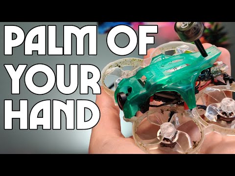 HD DIGITAL WHOOP! THE FUTURE IS HAPPENING!! DJI NEBULA FIRST LOOK