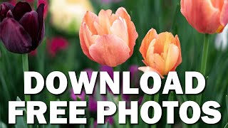 DOWNLOAD FREE PHOTOS! Why Not?