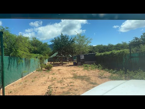 La Gilbertona disfruta la palapa