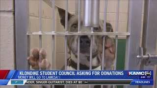 South Plains students help support Lamesa's pet rescues