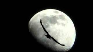 Fly me to the moon Kenny Burrel & Ray Brown Trio.wmv