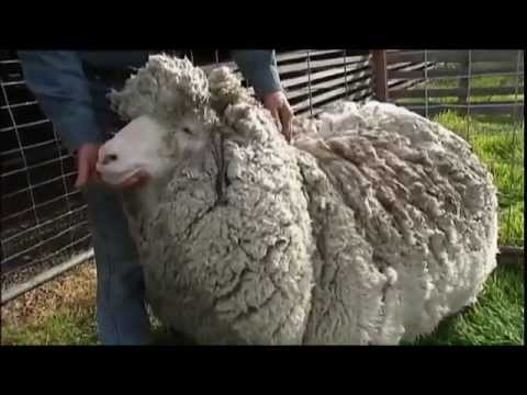 Cristian Mitrea ar trebui să fie gelos! Andreea Mantea petrece la mare. Uite c&acirc;t de sexy s-a afișat pe plajă!