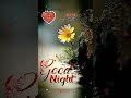 Aankhon Se Hum Baatein Nature ️ Love Video Status ️ Nature Love Shorts Status