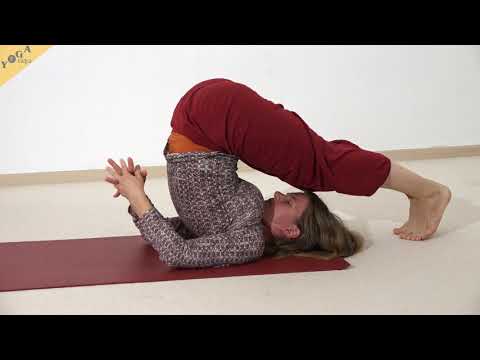 Pflug-Haltung - Yoga Asana Lexikon