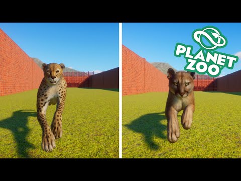 BIG CAT RACING TOURNAMENT PART 2: New Competitors!