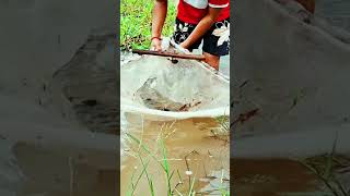 Download lagu Memancing yang Menakjubkan 2 mp3 Download lagu Memancing yang Menakjubkan 2 mp3