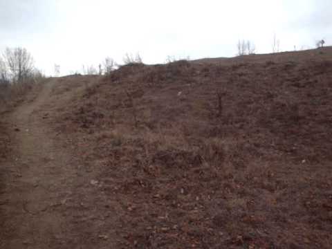 Petrestii de Sus (1)