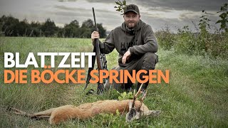 Blattzeit! Die Böcke springen wieder I Kölsche Jungs auf Bockjagd