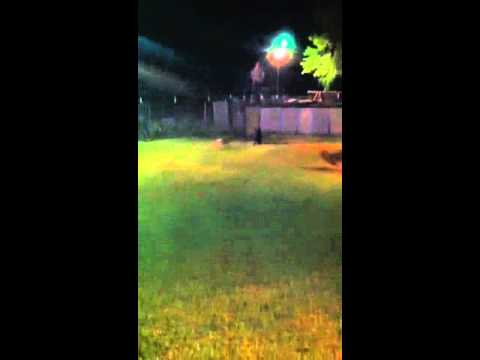 Luanne and Ellie at the McCoy Bay Pen