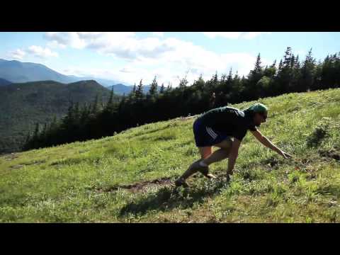 Play Video Youtube Video