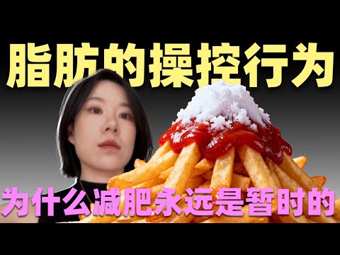 为什么减肥永远只是暂时的? 脂肪细胞被嫌弃和误解的作用