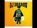 DJ Shadow feat Christina Carter - What have I done