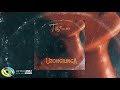 TNS Uzongilinga Feat Fey Official Audio