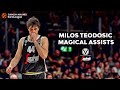 2 minutes 49 seconds of Milos Teodosic magic!
