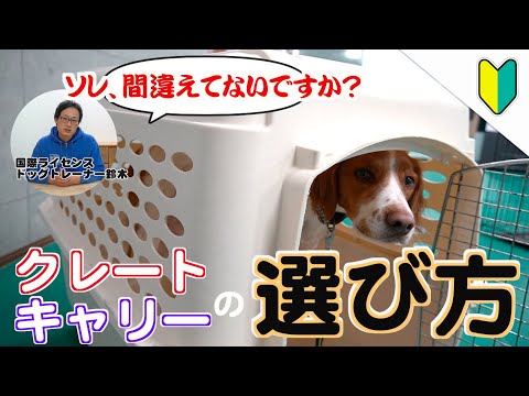 犬輸送用クレートの選び方
