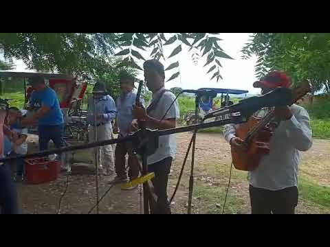 parranda selvatica 02 hnsjulca bg