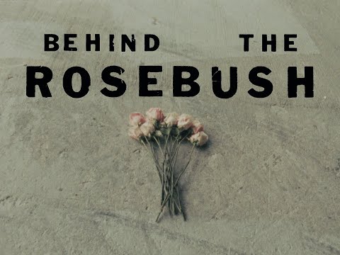 behind the rosebush