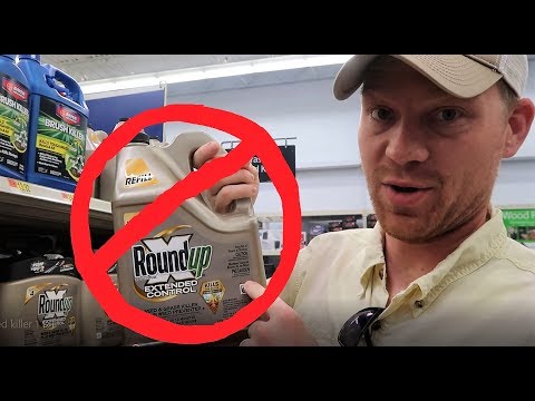 BEST WEED KILLER - before and after