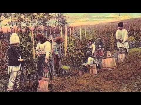 FILM PREZENTARE- BUDUREASCA ( Crama )