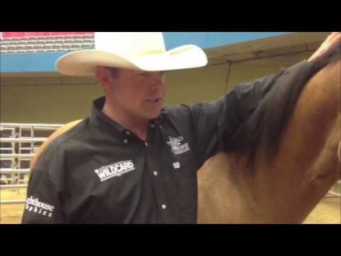 2014 Road to the Horse Wild Card