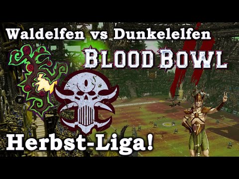 Waldelfen (Hamster) vs Dunkelelfen! Die Herbstliga!  Blood Bowl 2
