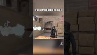 What If Vodka Was Added To CS:GO