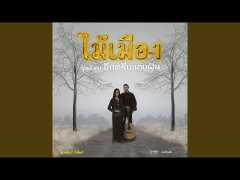 อีกครึ่งของฝัน