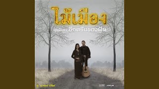 อีกครึ่งของฝัน – ไม้เมือง