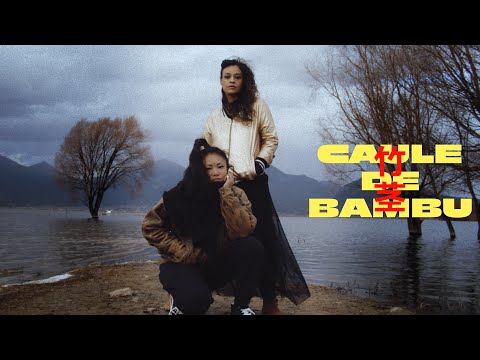 TULIPA RUIZ + YEHAIYAHAN - 竹茎 Caule de Bambu
