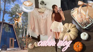 cozy cabin vlog: antique shopping, exploring a new coffee shop, baking, enjoying nature ˚ʚ♡ɞ˚