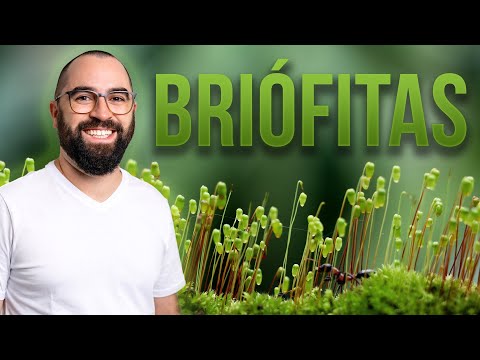 Bryophytes - Lesson 02 - Module 5: Botany
