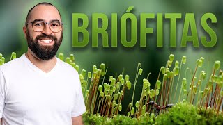 Briófitas - Aula 02 - Módulo 5: Botânica