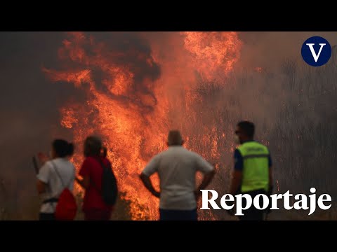 ¿Cómo evitar que España arda cada verano?: la lección alemana de la gestión de bosques