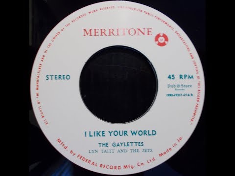 The Gaylettes - I Like Your World