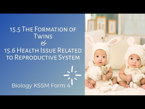 15.5 : The Formation of Foetus & 15.6: Health Issues Related to Reproductive System