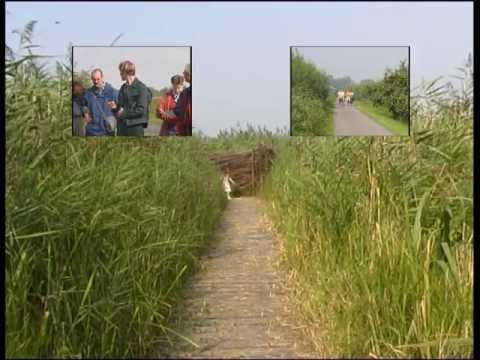 trailerflashversie13042011.flv