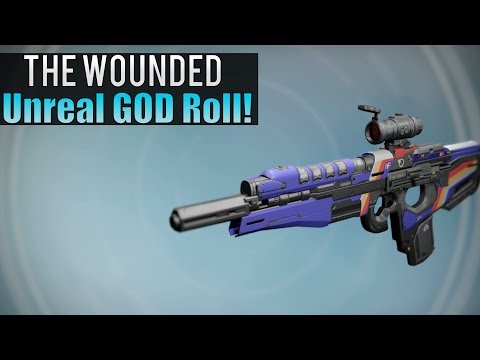 Destiny - One Of The BEST GOD ROLL Scout Rifles From The FWC Amazing "FATEBRINGER" Scout BUY IT NOW!