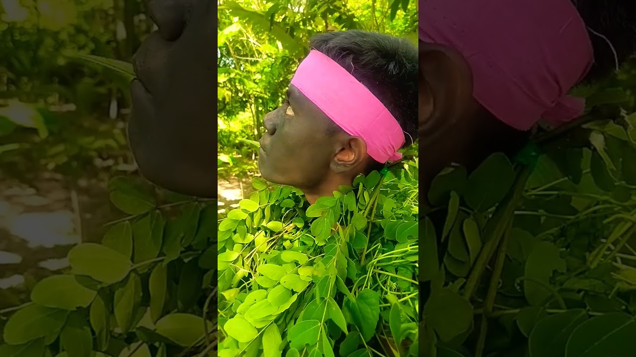 "Forest Human" #entertainment #forestbirds #nature #birdsounds #shorts #birds