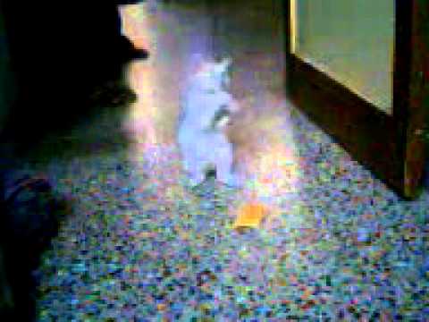 My chinni's play... Pls watch it... :-)