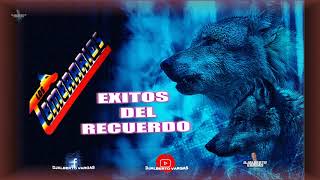LOS TEMERARIOS - EXITOS DEL RECUERDO