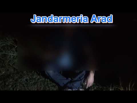 Misiune de salvare pe Mureș - barcă răsturnată la Milova (2)