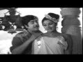 Malayalam Movie Song Vayal Varambil Kalpavriksham Malayalam Film Song