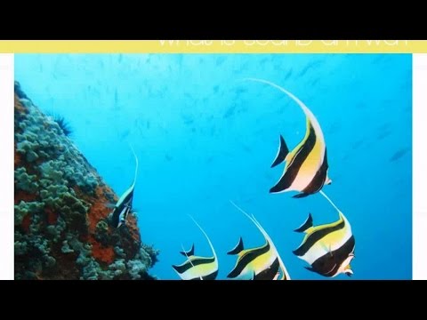 download lagu mp3 mp4 Neoteric Research, download mp3 Neoteric Research free download mp3, download mp3 Neoteric Research