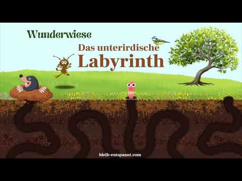 Traumreise für Kinder - Wunderwiese: Das unterirdische Labyrinth |  Regenwurmgeschichte