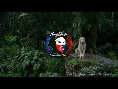 Best Of Jungle Terror Mix Vol.2