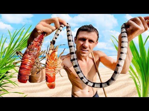 Lobster Catch and cook. 24 hours Survival on the island. Primitive Spearfishing in the ocean.