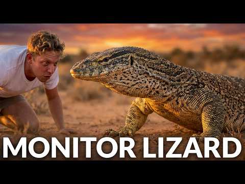 Are Monitor Lizards Venomous? ft. Yellow Spotted Monitor Lizard